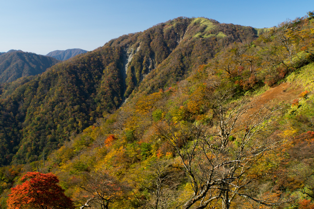 秋の丹沢山