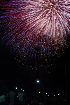 夜空を彩る夏の花2