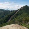 甲武信ヶ岳2475