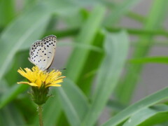 ハートがいっぱい。