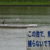 鳥語で書いてねっ♪(笑)