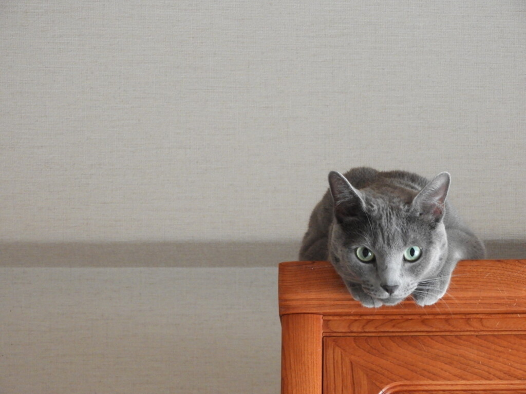 ちょっと休憩 (=^ェ^=)