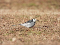 朝食ゲット～♪