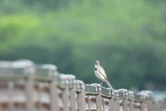 格好よく撮ってねっ！