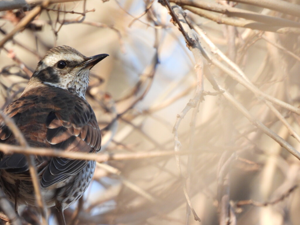 待たせたねっ♪