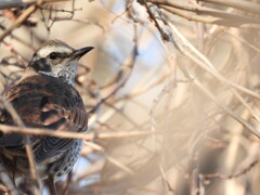 待たせたねっ♪