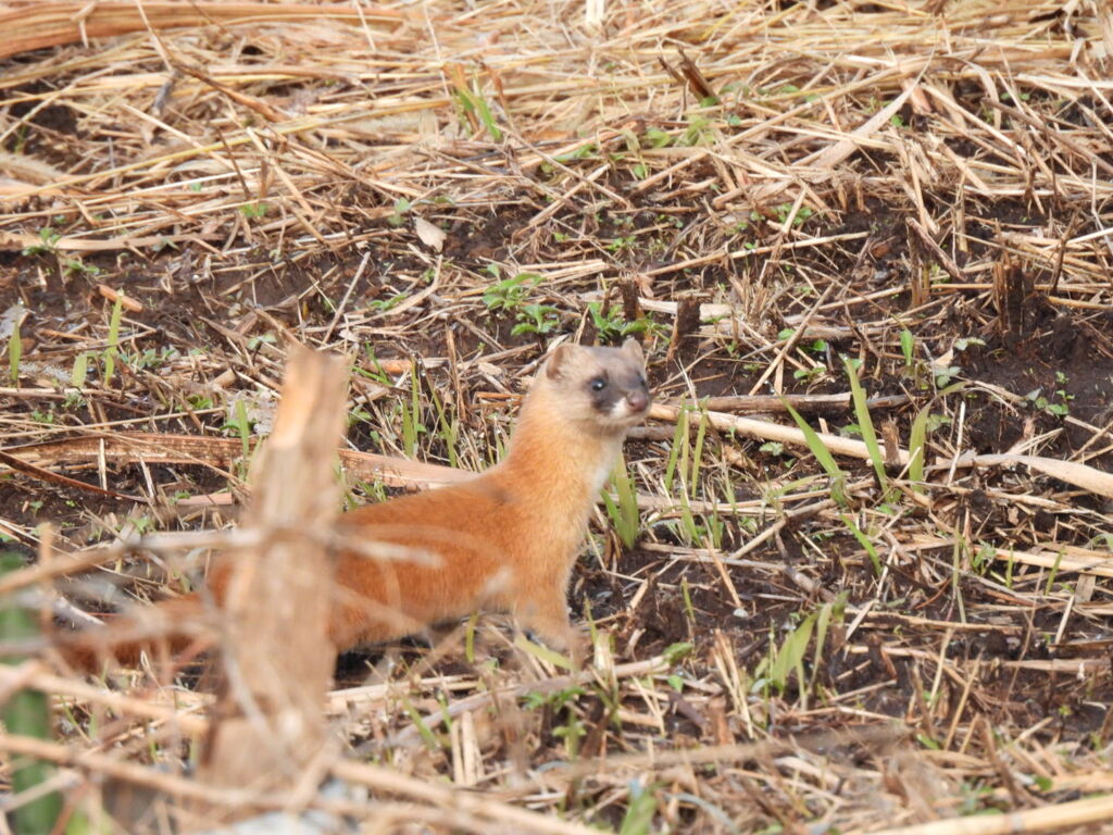はじめまして♪