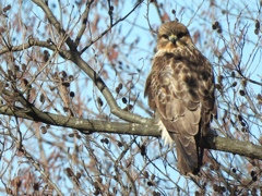 目が合った...。