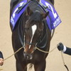 キタサンブラック