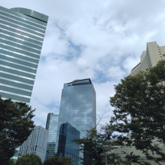 空とビルと...。