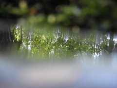 雨上がりの ベンチ