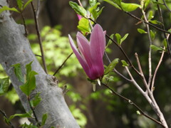 私も参加しま～す♪