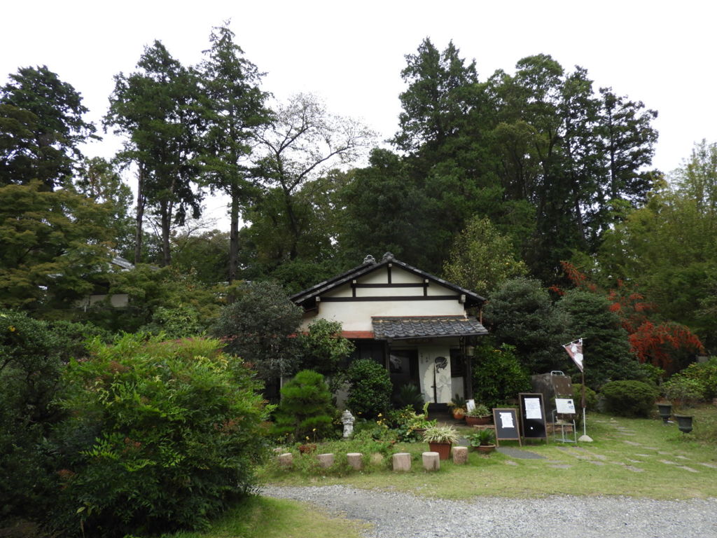 利根運河散歩ー２