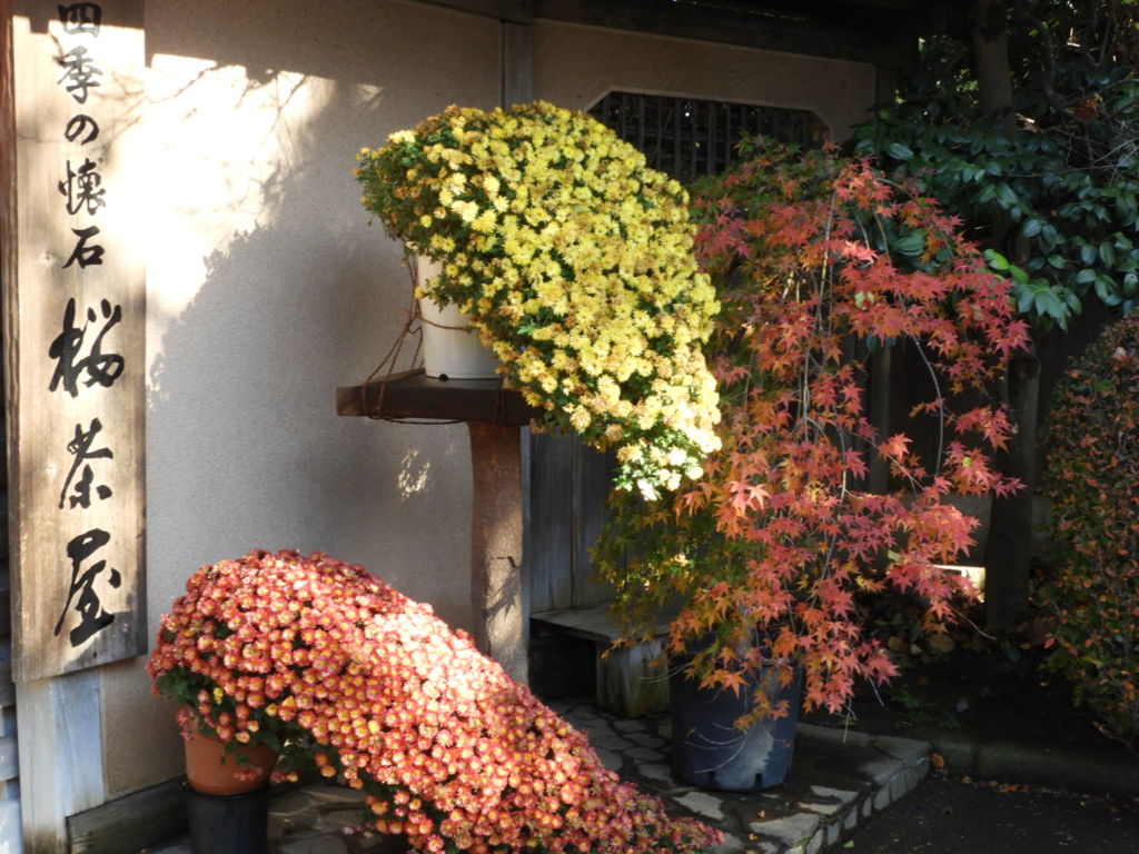 菊と紅葉