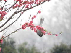 G難度かな？