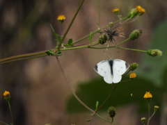 ひっついちゃった！！