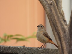 かわいく♡撮ってね