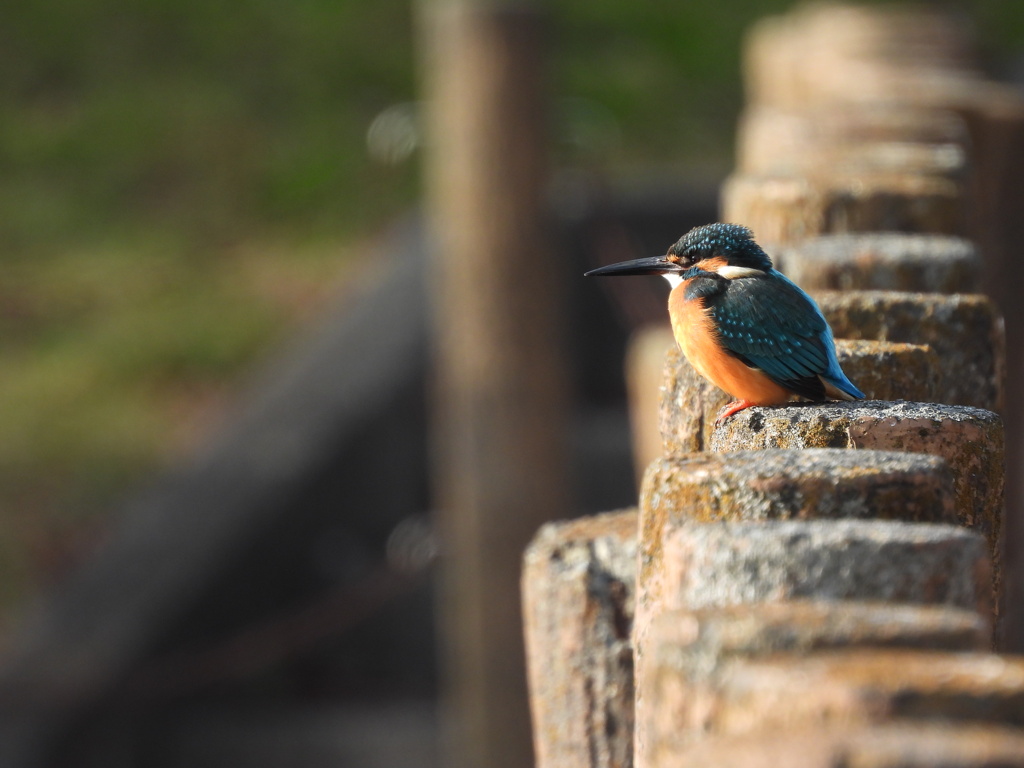 ここが好き～♡