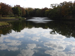 公園の池・・秋色を感じて。