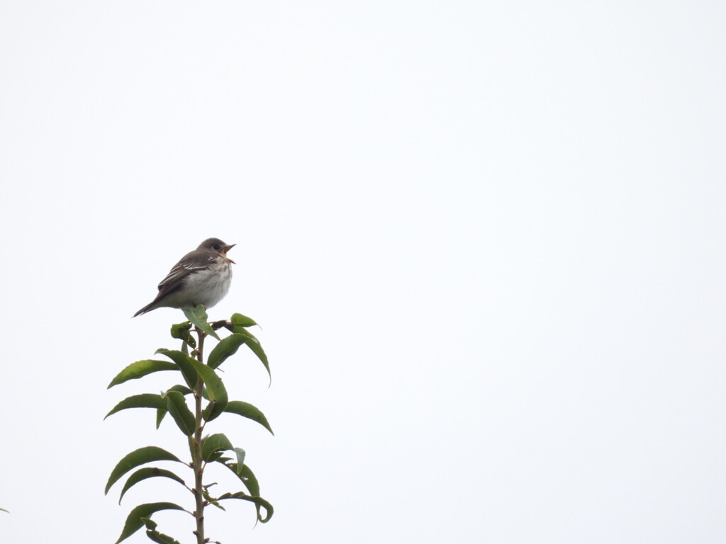朝のかわいいご挨拶～♪