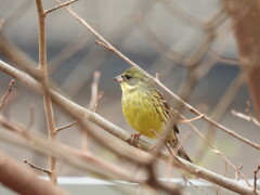 笑顔になろうねっ♪