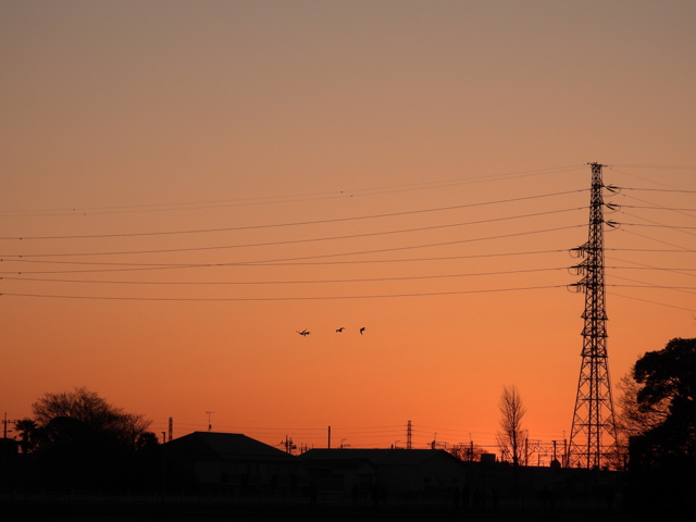 風景・自然写真集