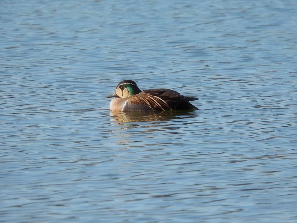約束したもんね♪