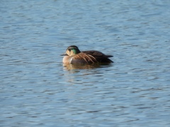 約束したもんね♪
