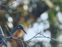 狙いを決めて！