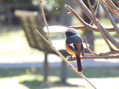 一緒に遊びましょ♬