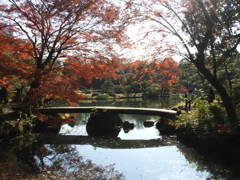 渡月橋  (六義園①)