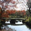 渡月橋  (六義園①)