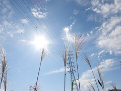 天までとどけ～っ♪