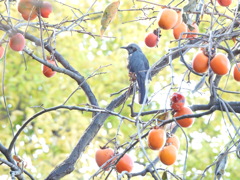 どれにしよ～かな？