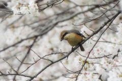 ここが好き～♡