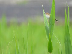 君に逢いたくて～♪