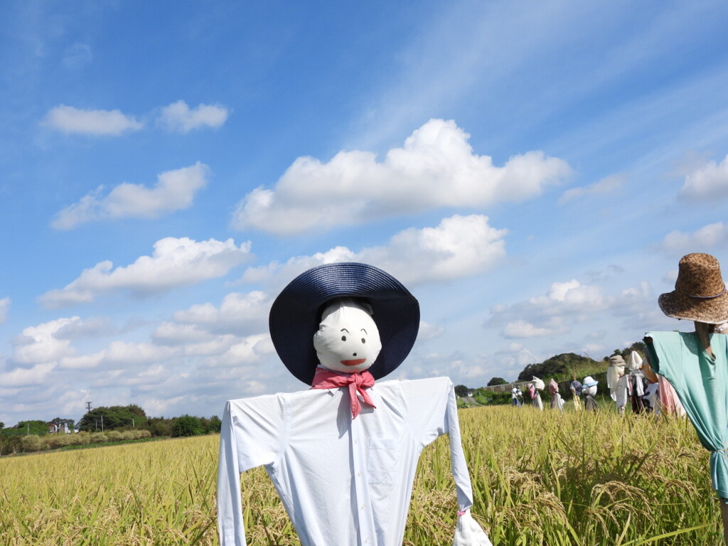 今年のお米も美味しいよ～♪