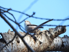 得意なポーズ♡
