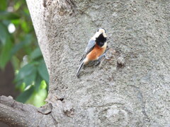 ここに餌があるんだよ