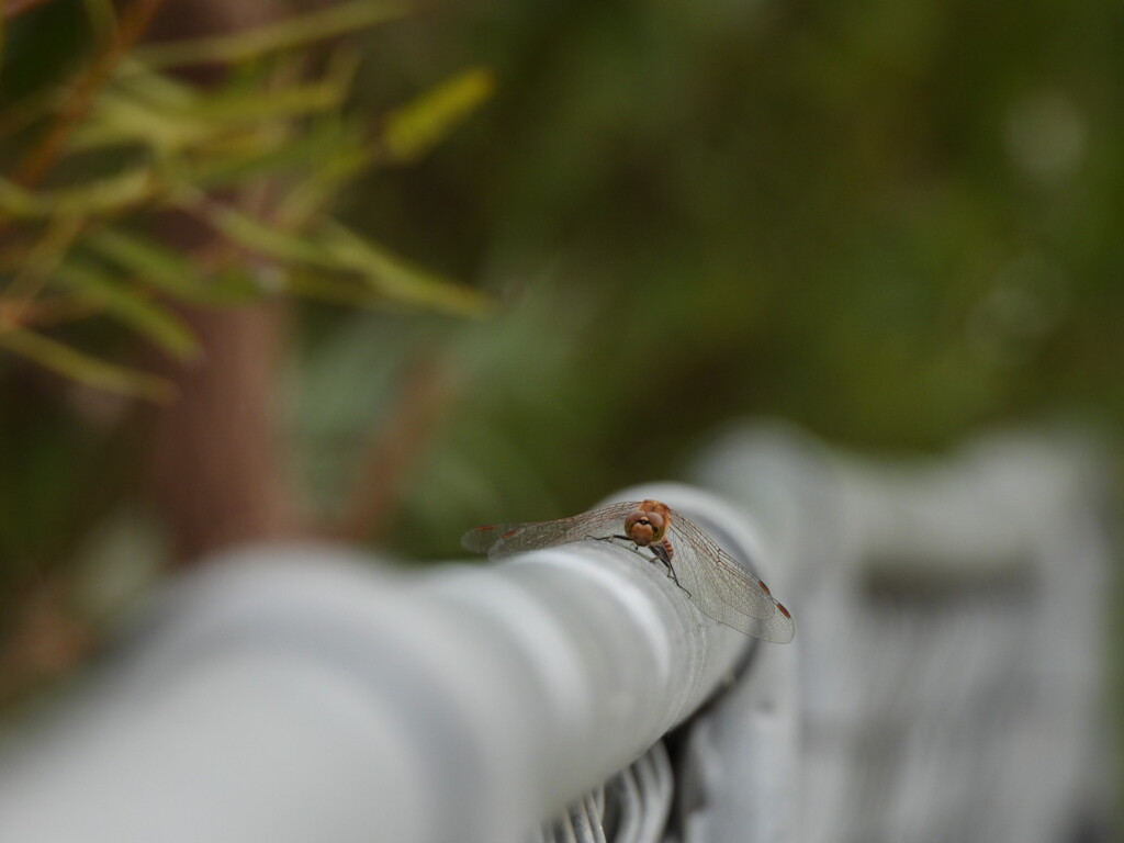 もう少し遊ぼう～♪