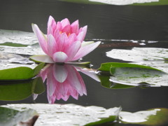 雨の中の灯