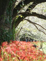 来年もよろしくね