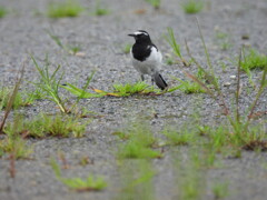 久しぶり～♪