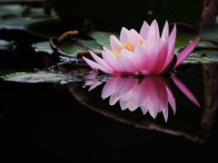 ラストの輝き。・゚⭐ ラストの輝き。・゚⭐