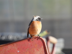 強風にも負けないよ～！