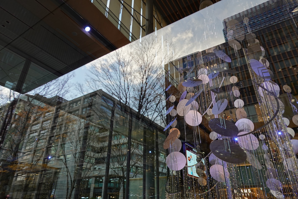 ガラスの中の世界