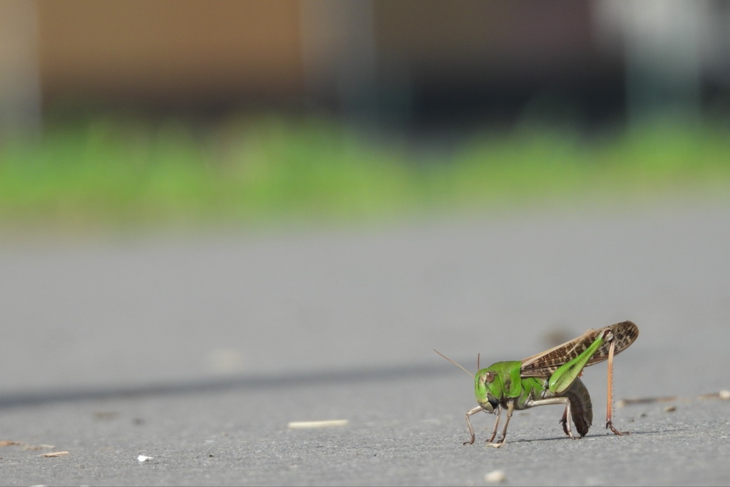 エッ！そこで～っ♪