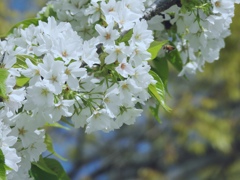 あま～い誘惑♪