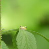 目が合った？(^.^)