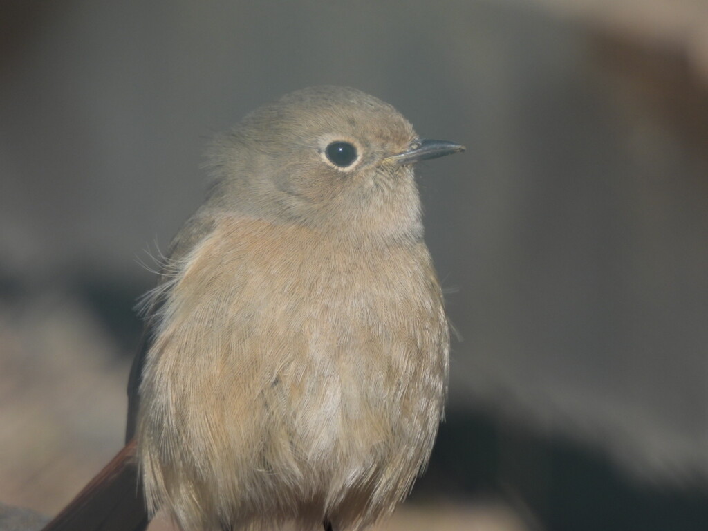 わたし♪可愛いんだもん(^^)